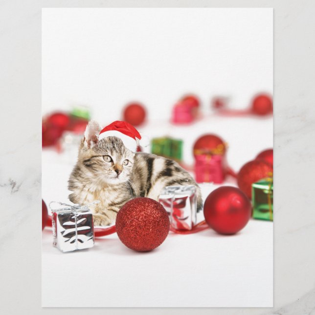 Katten die rode kerstman hoed dragen Kerst Ornamen (Voorkant)