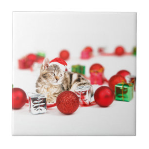 Katten die rode kerstman hoed dragen Kerst Ornamen Tegeltje