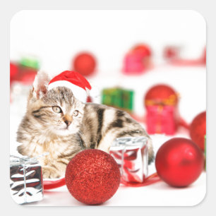 Katten die rode kerstman hoed dragen Kerst Ornamen Vierkante Sticker