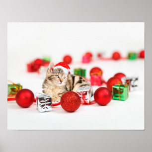 Katten die rode Kerstman hoed dragen Kerstmis Poster