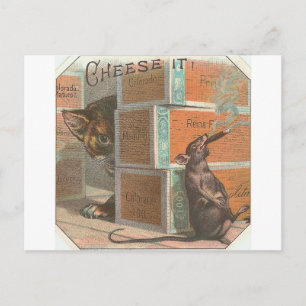 katten die roken zien briefkaart