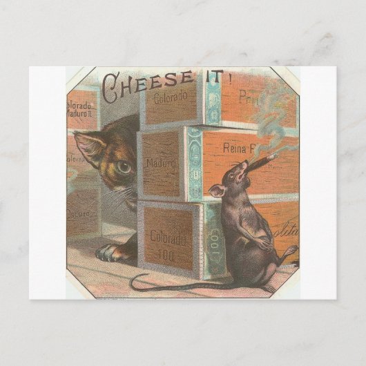  katten die roken zien briefkaart (Voorkant)