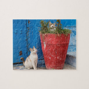 Katten die rond spelen, Rabat, Marokko Legpuzzel