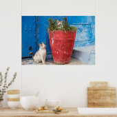Katten die rond spelen, Rabat, Marokko Poster (Keuken)