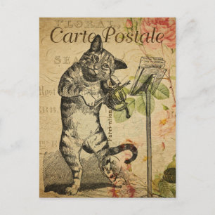 katten die ronddraaien briefkaart