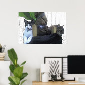 Katten die rusten in een bananenboom poster (Thuiskantoor)