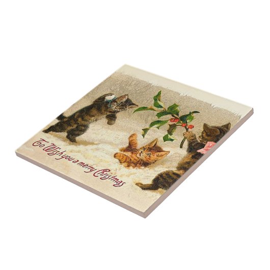 Katten die spelen in de sneeuwvlek kerstmis tegeltje (Zijkant)