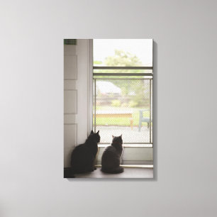 Katten die uit de deur van het scherm kijken canvas afdruk