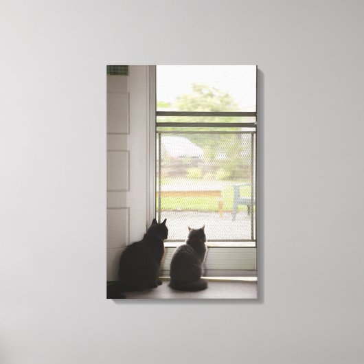 Katten die uit de deur van het scherm kijken canvas afdruk (Voorkant)