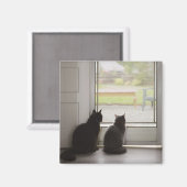Katten die uit de deur van het scherm kijken magneet (Voorkant / Achterkant)