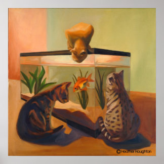 Katten die vissen bekijken poster