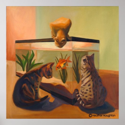 Katten die vissen bekijken poster (Voorkant)
