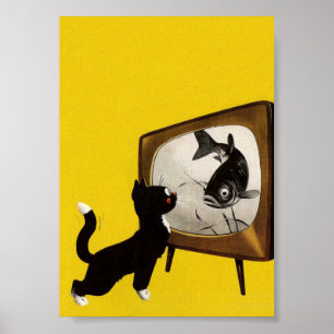 Katten die vissen zien Poster van schimmels