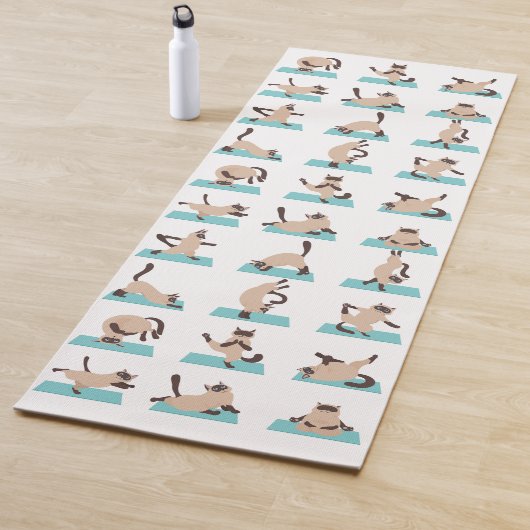 Katten die yoga mat doen (In situ)