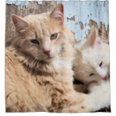 Katten Douchegordijn (Voorkant)