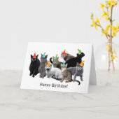 Katten Dragen Party Petten Verjaardag Kaart (Gele Bloem)