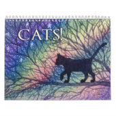 KATTEN! Een kat per maand kalender (Hoes)