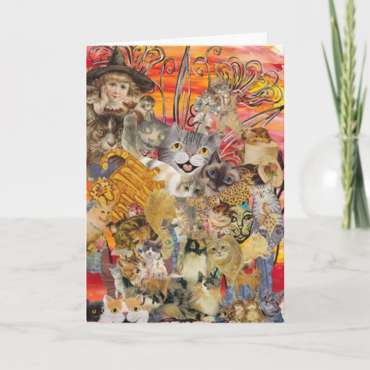 Katten een Wenskaart Kaart (Voorkant)