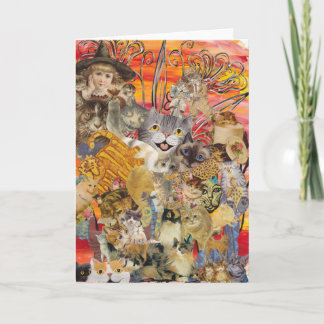 Katten een Wenskaart Kaart