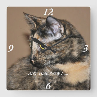 Katten elke keer weer een wandklok! vierkante klok