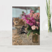 Katten en bloemen kaart (Voorkant)