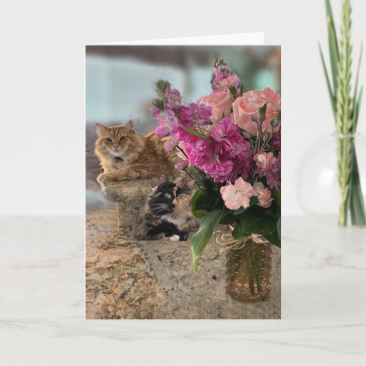 Katten en bloemen kaart (Voorkant)