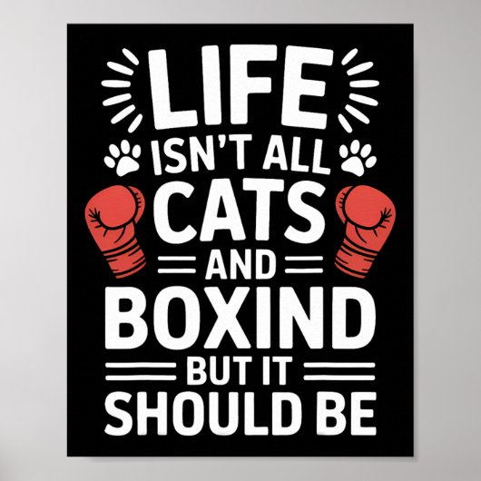 Katten en boksen Grappig Boksen Poster (Voorkant)