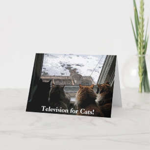 Katten en eekhoorn kaart