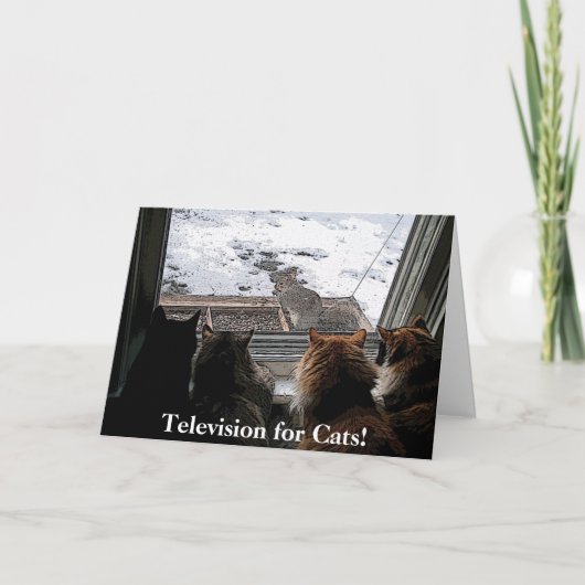 Katten en eekhoorn kaart (Voorkant)