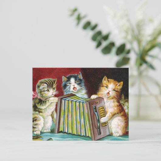 "Katten en een Squeezebox" Briefkaart (Staand voorkant)