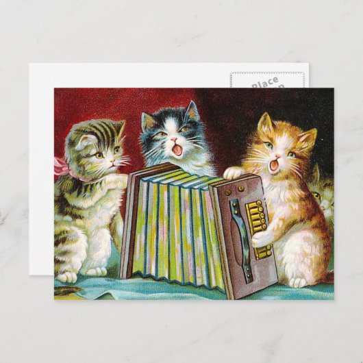 "Katten en een Squeezebox" Briefkaart (Voorkant / Achterkant)