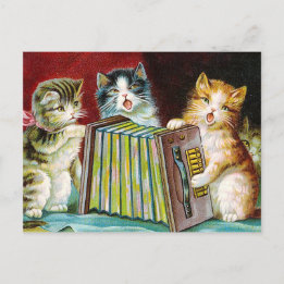 "Katten en een Squeezebox" Briefkaart