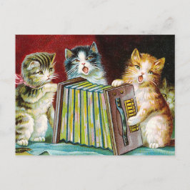 "Katten en een Squeezebox" Briefkaart