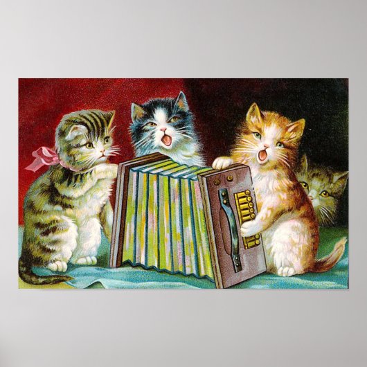 "Katten en een vierkante doos" Poster (Voorkant)
