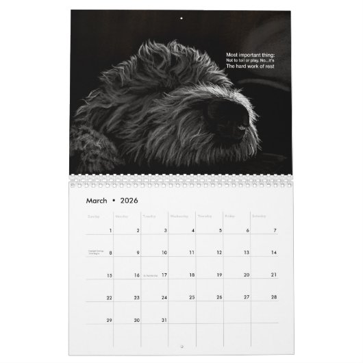 Katten en honden 2021 Haiku Calendar Kalender (Mar 2026)