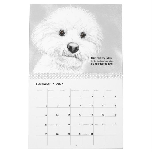 Katten en honden 2021 Haiku Calendar Kalender (Dec 2026)