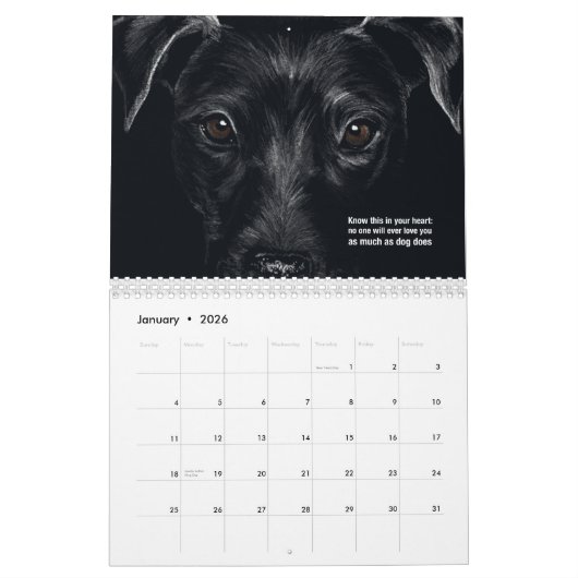 Katten en honden 2021 Haiku Calendar Kalender (Jan 2026)