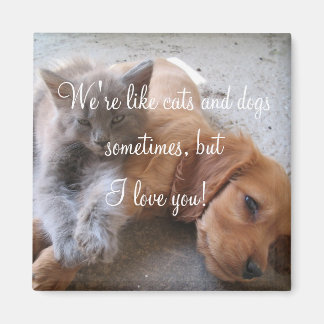 Katten en honden houden van Magnet