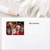 Katten en Honden Kerstmis Etiket (Insitu)