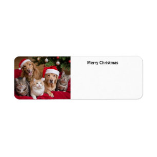 Katten en Honden Kerstmis Etiket
