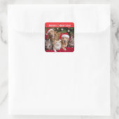 Katten en Honden Kerstmis Vierkante Sticker (Tas)