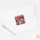Katten en Honden Kerstmis Vierkante Sticker (Envelop)