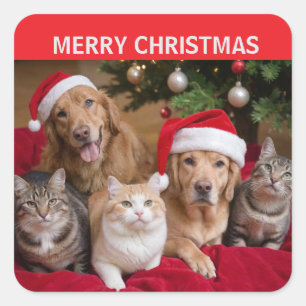 Katten en Honden Kerstmis Vierkante Sticker