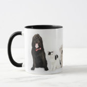 Katten en honden mok (Links)