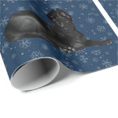 Katten en honden Veterinair op blauw Cadeaupapier (Rol Hoek)