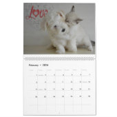 Katten en honden - Vrienden samen Kalender (Feb 2026)