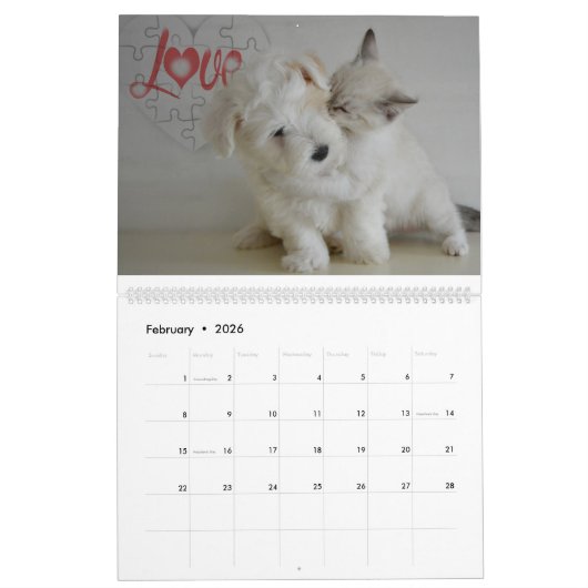 Katten en honden - Vrienden samen Kalender (Feb 2026)