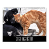 Katten en honden - Vrienden samen Kalender (Hoes)