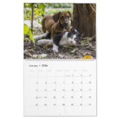 Katten en honden - Vrienden samen Kalender (Jan 2026)