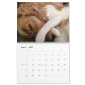Katten en honden - Vrienden samen Kalender (Mar 2027)